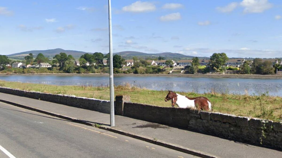 Concerns raised over halting site in Dungarvan spoiling 'signature' walking route