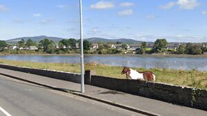 Concerns raised over halting site in Dungarvan spoiling 'signature' walking route