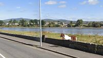 Concerns raised over halting site in Dungarvan spoiling 'signature' walking route