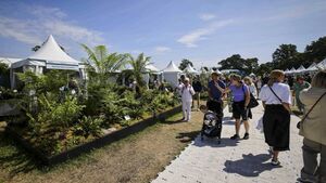 Waterford to be well represented at Bloom Waterford to be well represented at Bloom