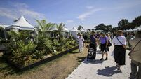 Waterford to be well represented at Bloom