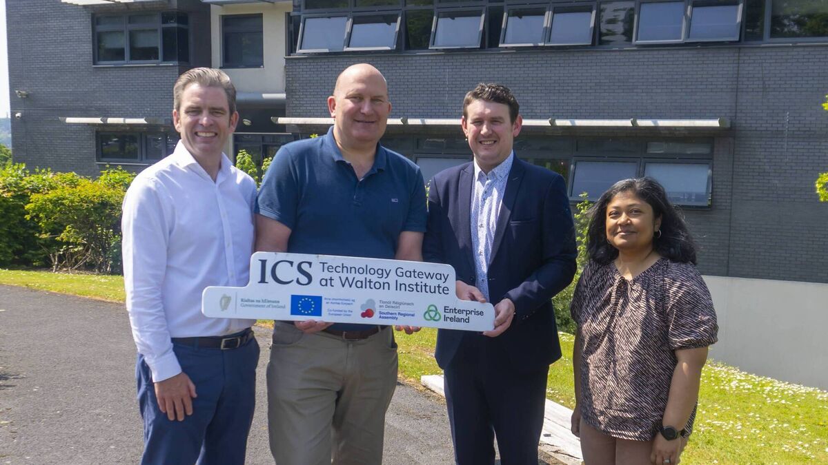 New Waterford and Carlow collaboration aims to slash AI's carbon footprint