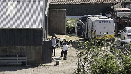 Michael Gaine disappearance: Gardaí confirm partial remains found at Kerry farm