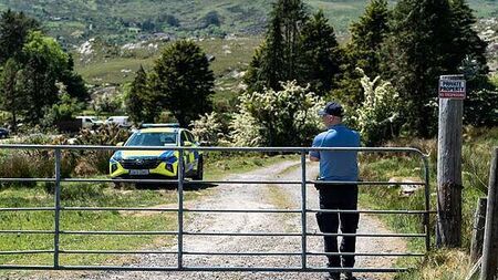 Man (50s) arrested on suspicion of murder of Kerry farmer Michael Gaine