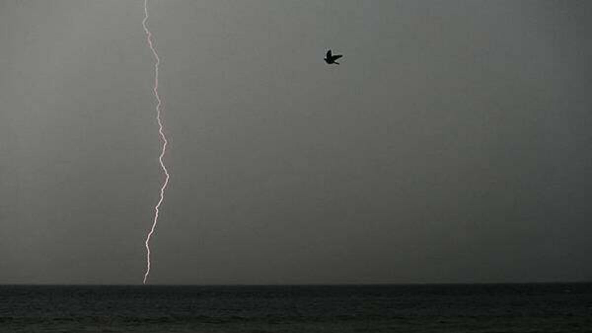 Met Éireann issues immediate thunderstorm warning for five counties