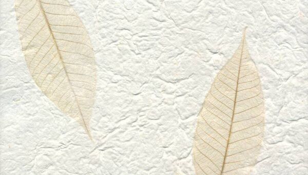 The paper-making workshop in GOMA will be one of the events taking place during Biodiversity Week. Stock image
