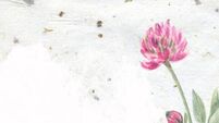 Field to fibre workshop in Waterford will focus on paper-making 
