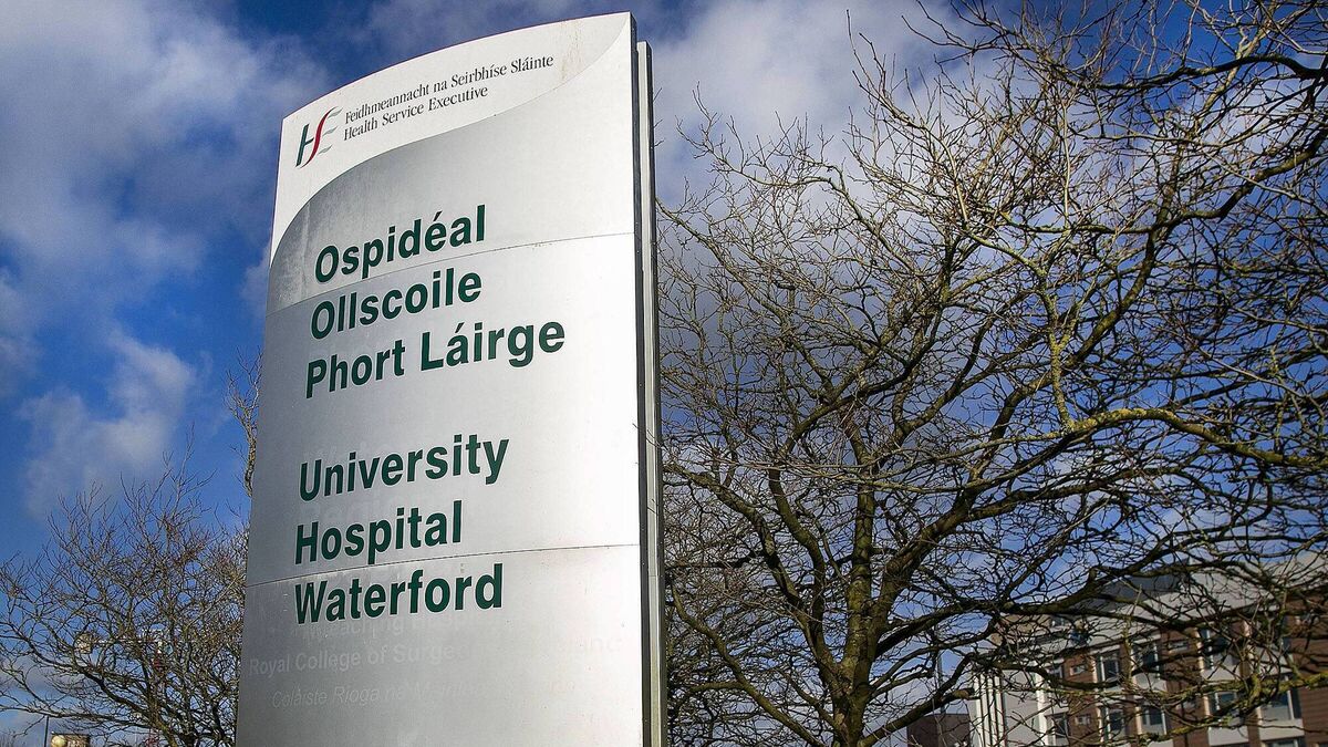 Family ask Attorney General to direct inquest into death of mother as they settle action against HSE