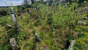 Historic graveyards maintenance scheme opens in Waterford