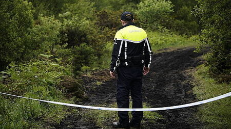 Search begins in Laois as part of Fiona Pender murder investigation