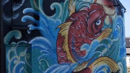 Striking new mural painted in Tramore holds special significance for family