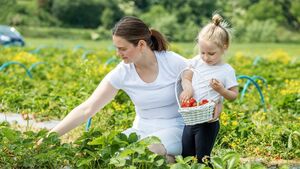 Minister Heydon and Minister Grealish announce €300,000 funding for Agri-Food Tourism projects