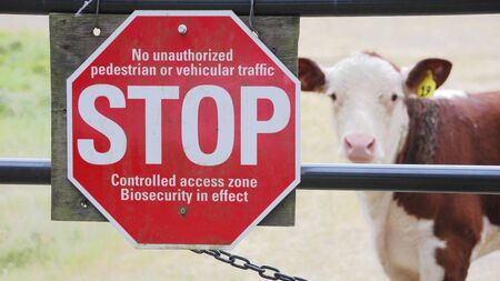 Farming: Protecting Ireland from exotic animal disease threats