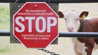 Farming: Protecting Ireland from exotic animal disease threats 