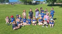 Local Notes: GAA and soccer news, Portlaw heritage and more