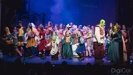 View from the Green Room: From ogres to princesses and all fairytale heroes in between