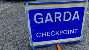 Multiple intoxicated drivers caught at Garda checkpoint in Waterford