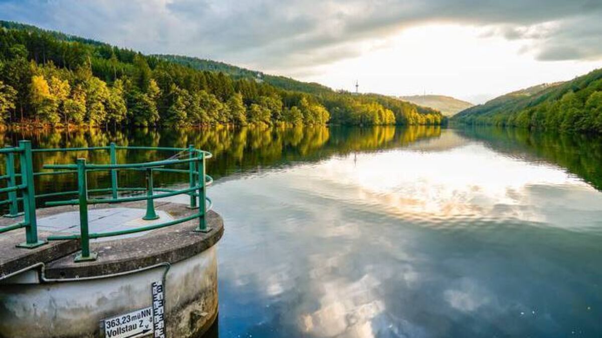 Waterford Chamber to attend trade initiative in Germany