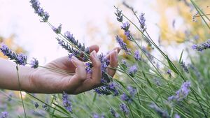 Green Fingers: Enhance your pleasure with sensory delights Green Fingers: Enhance your pleasure with sensory delights