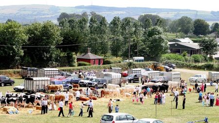 Dungarvan Show 2025 – something for everyone!