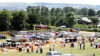 Dungarvan Show 2025 – something for everyone!