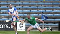 Stars of the future will make this summer one to remember