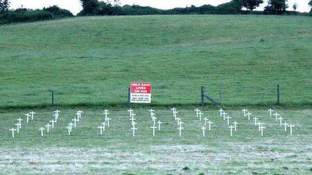 Locals urged to attend public meeting over hazardous stretch of N25 linking Waterford and New Ross