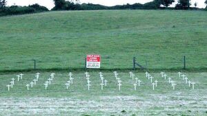 Locals urged to attend public meeting over hazardous stretch of N25 linking Waterford and New Ross