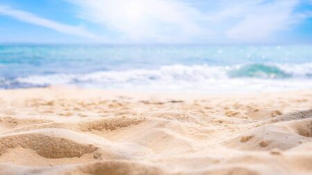Waterford council issue warning as elevated bacteria levels found in beach and stream