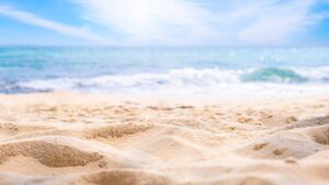 Waterford council issue warning as elevated bacteria levels found in beach and stream