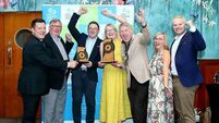 Antiques Ireland is Waterford digital award overall winner