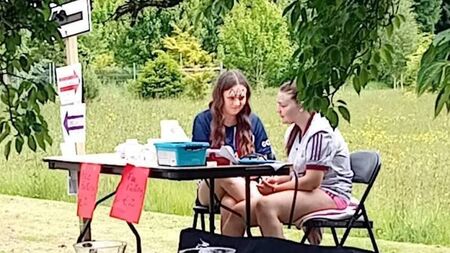 Garden gala in County Waterford will be true community event
