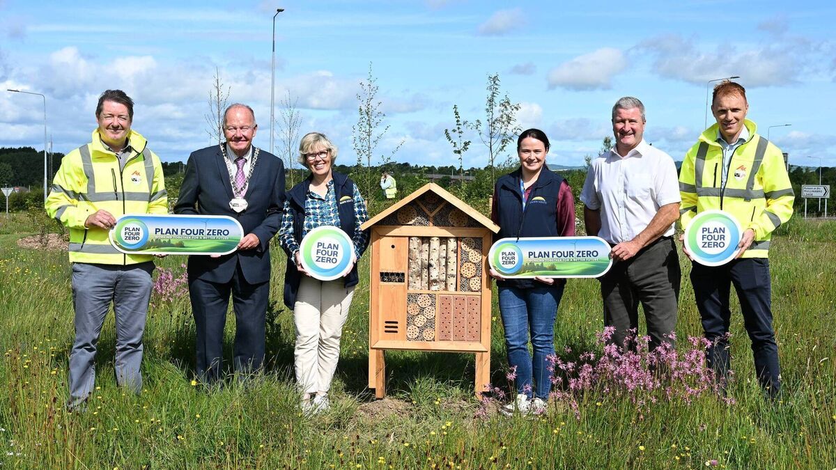 Waterford and Kilkenny businesses join forces to transform roundabouts into biodiversity havens