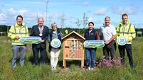 Waterford and Kilkenny businesses join forces to transform roundabouts into biodiversity havens
