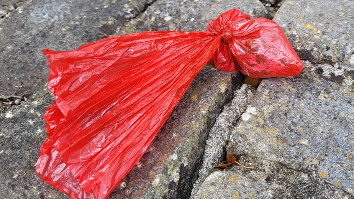 Waterford Council to take away dog poo bags and bins in some areas
