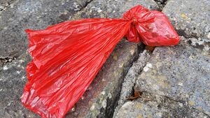 Waterford Council to take away dog poo bags and bins in some areas