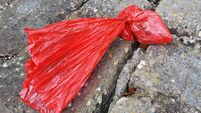 Waterford Council to take away dog poo bags and bins in some areas