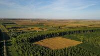 Farming: €10 million fund for projects under Bioeconomy Demonstration Initiative