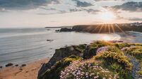 Friends of The River Suir to celebrate Summer Solstice with free events