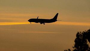 Taxpayer on the hook for €444,412 in claims over collapse of Platinum Travel
