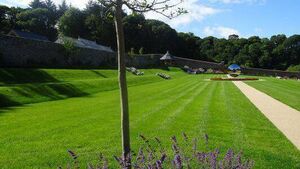 Afternoon tea party on the way in County Waterford