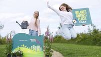 The search is on for Ireland’s Greenest Places!
