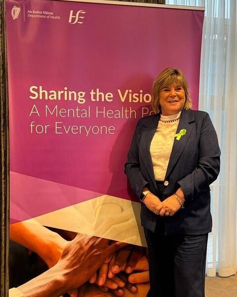 Minister Mary Butler said Sinn Féin's proposed amendments were a 'regressive' step Minister Mary Butler said Sinn Féin's proposed amendments were a 'regressive' step