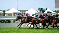 De Bromhead revels in first Royal Ascot winner
