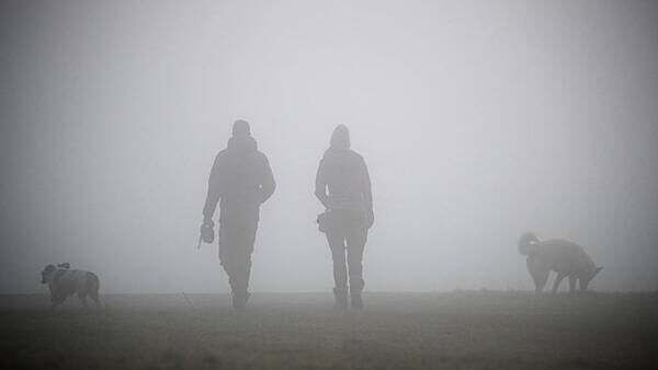 Status yellow fog warning in place for most counties