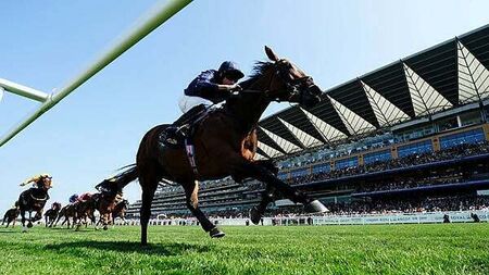 Trawlerman nets biggest staying prize of them all