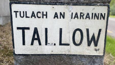 Minister welcomes money for Waterford town's flood mitigation works