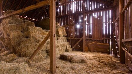 Farming: All applicants accepted into the Straw Incorporation Measure