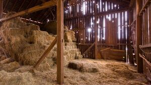 Farming: All applicants accepted into the Straw Incorporation Measure Farming: All applicants accepted into the Straw Incorporation Measure