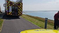 Gardaí issue warning about cigarettes following gorse fire in Waterford
